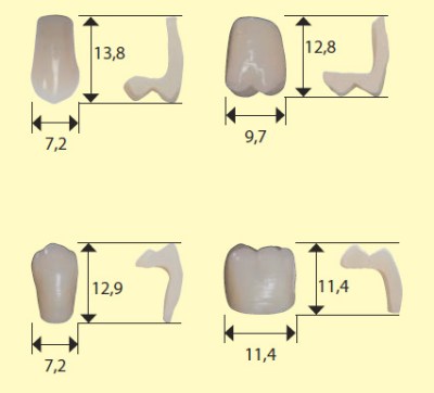 g4-25